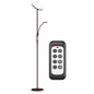 Beautiful LED Floor Lamp with Remote Control