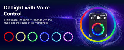 Karaoke Speaker for Outdoor Activities, Parties
