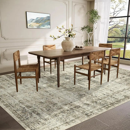 Washable Area Rug Stain-Resistant Throw Rug Indoor Carpet