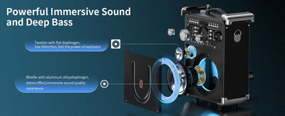 Karaoke Speaker for Outdoor Activities, Parties