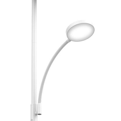 Beautiful LED Floor Lamp with Remote Control